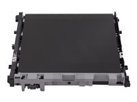 Brother BU800CL - Overføringsbelte for skriver - for P/N: US#HLEX470W, US#HLL9470CDN, US#MFCEX670W, US#MFCL9610CDN, US#MFCL9670CDN BU800CL