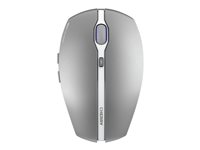 CHERRY GENTIX BT - Mus - optisk - 7 knapper - trådløs - Bluetooth 4.0 - frostet sølv (frosted silver) JW-7500-20