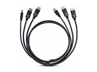 StarTech.com 6ft (1.8m) Dual-DisplayPort and USB 5Gbps KVM Cable - Tastatur / video / musekabel (KVM) - USB-type A, DisplayPort (hann) til USB Type B, DisplayPort (hann) - 1.83 m - 4K 60Hz støtte, HDR10-støtte - svart DDU1226-KVM-CABLE