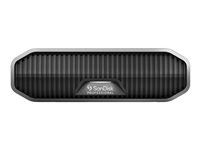 SanDisk Professional - Harddisk - Enterprise - 4 TB - ekstern (stasjonær) - USB 3.2 Gen 2 (USB-C kontakt) - 7200 rpm SDPHF1A-004T-MBAAD