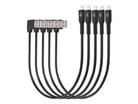 Kensington Charge & Sync Cable - Lightning-kabel - USB hann til Lightning hann - 20 cm - svart (en pakke 5) K67864WWA