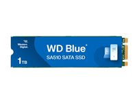 WD Blue SA510 WDS100T3B0B-00AXS0 - SSD - 1 TB - intern - M.2 2280 - SATA 6Gb/s WDS100T3B0B-00AXS0