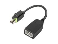 Lenovo - DisplayPort-adapter - Mini DisplayPort (hann) til DisplayPort (hunn) - for ThinkCentre M75t Gen 2; ThinkStation P320; P330; P330 Gen 2; P348; P520; P620; P720; P920 4X90Q93975