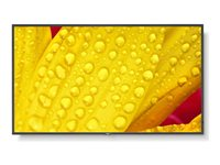 NEC MultiSync M651-2 - 65" Diagonalklasse (64.5" synlig) - M Series LED-bakgrunnsbelyst LCD-skjerm - intelligent skilting - med innebygd mediespiller / valgfri PC-funksjonalitet med spor - 4K UHD (2160p) 3840 x 2160 - HDR - direktebelyst LED - pantone 426M 60006086