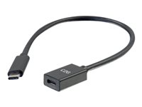 C2G 1ft USB-C to C 3.1 (Gen 2) Male to Female Extension Cable (10Gbps) - USB-forlengelseskabel - USB-C (hann) til USB-C (hunn) - USB 3.1 Gen 2 / Thunderbolt 3 - 3 A - 30 cm - formstøpt - svart 88657