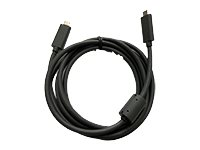 Logitech - USB-kabel - USB-C (hann) til USB-C (hann) - for Rally 993-002153