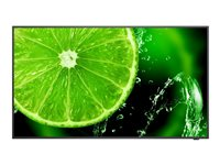 NEC MultiSync E328-2 - 32" Diagonalklasse E Series LED-bakgrunnsbelyst LCD-skjerm - intelligent skilting - 1080p 1920 x 1080 - HDR - Direct LED 60006113