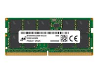 Micron - DDR5 - modul - 16 GB - SO DIMM 262-pin - 5600 MHz / PC5-44800 - CL46 - registrert - ECC MTC10C1084S1TC56BD1R