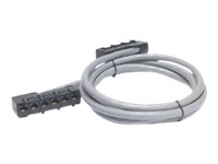 APC Data Distribution Cable - Nettverkskabel - RJ-45 (hunn) til RJ-45 (hunn) - 11.3 m - UTP - CAT 5e - grå DDCC5E-037