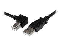 StarTech.com 1m USB 2.0 A to Left Angle B Cable Cord - 1 m USB Printer Cable - Left Angle USB B Cable - 1x USB A (M), 1x USB B (M) (USBAB1ML) - USB-kabel - USB-type B (hann) til USB (hann) - USB 2.0 - 1 m - venstrevinklet kontakt - svart USBAB1ML