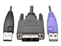 Eaton Tripp Lite Series DVI USB Server Interface w/ Virtual Media & CAC for B064 KVMs TAA - KVM / USB-utvider - opp til 50 m - TAA-samsvar - for P/N: B064-016-02-IPH, B064-016-04-IPH, B064-032-01-IPH, B064-032-02-IPH, B064-032-04-IPH B055-001-UDV
