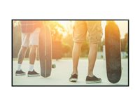 NEC MultiSync M431 PG-2 - 43" Diagonalklasse M Series LED-bakgrunnsbelyst LCD-skjerm - intelligent skilting - med innebygd SoC-mediespiller - 4K UHD (2160p) 3840 x 2160 - kantbelyst - svart, pantone 426M 60005850