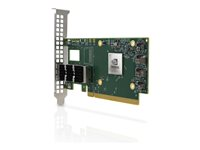 Mellanox ConnectX-6 Dx EN - nettverksadapter - PCIe 4.0 x16 - 100 Gigabit DSFP x 2 900-9X675-0076-MB0