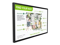 Philips 55BDL3751T - 55" Diagonalklasse Interactive 3000 Series LED-bakgrunnsbelyst LCD-skjerm - intelligent skilting - med pekeskjerm (multiberørings) - Android - 4K UHD (2160p) 3840 x 2160 - svart 55BDL3751T/00