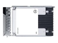 Dell - SSD - Read Intensive - 960 GB - hot-swap - 2.5" - SATA 6Gb/s - for PowerEdge R340, R440, R640, R650, R6515, R6525, R740, R7425, R750, R7515, R7525, R840 345-BDRK