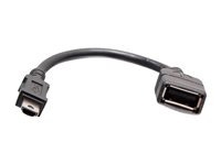 C2G AV Controller Administrator Key - USB-adapter - mini-USB type A (hann) til USB (hunn) - 30 V - formstøpt - svart C2G40691