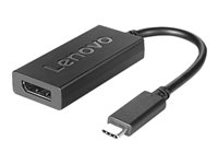 Lenovo - USB / DisplayPort-adapter - USB-C (hann) til DisplayPort (hunn) - DisplayPort 1.2a - 4K-støtte - for ThinkBook 14s Yoga G2 IAP; ThinkCentre M75t Gen 2; ThinkPad T14s Gen 3; X1 Nano Gen 2 4X90Q93303