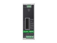 APC BVS480XDPDR - Strømadapter (DIN-skinnemonterbar) - DC 24 V - 480 watt - grå BVS480XDPDR